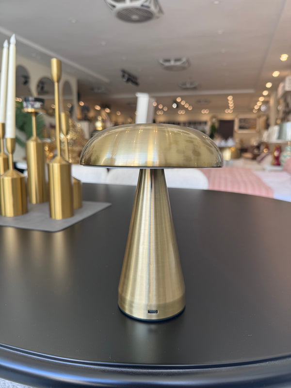 Mushroom Led Rechargeable 02