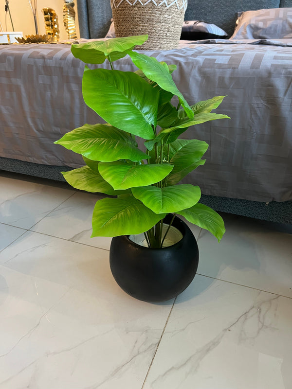 Round Pot with Plant (004)