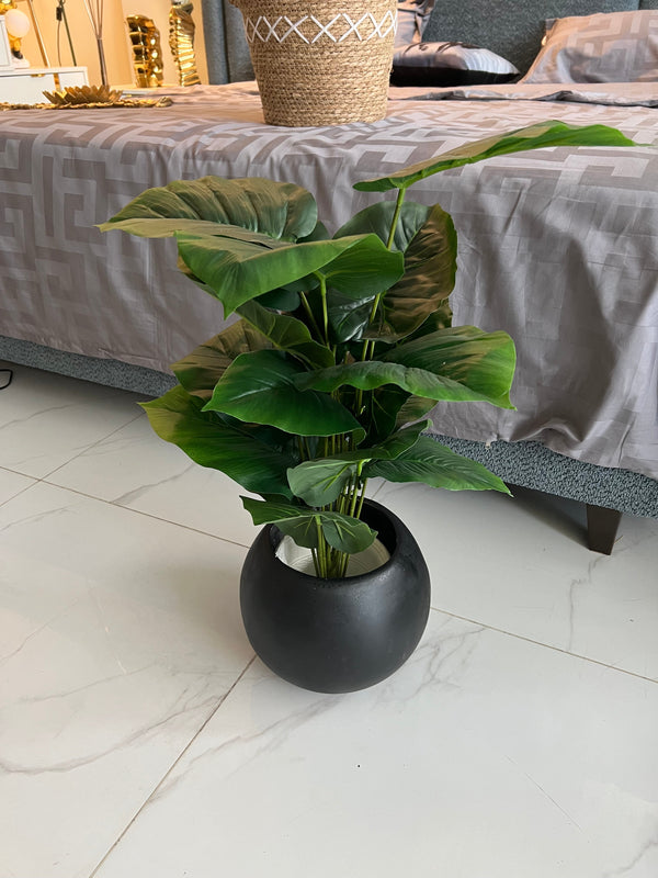 Round Pot with Plant (002)
