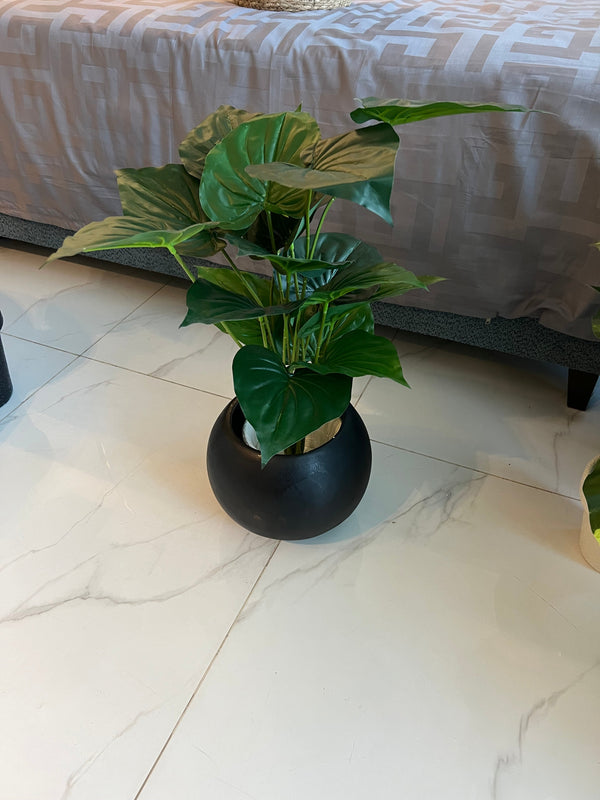 Round Pot with Plant (005)