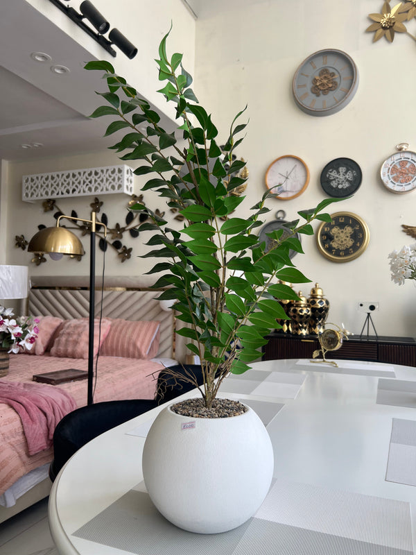 Dwarf plant with pot 04