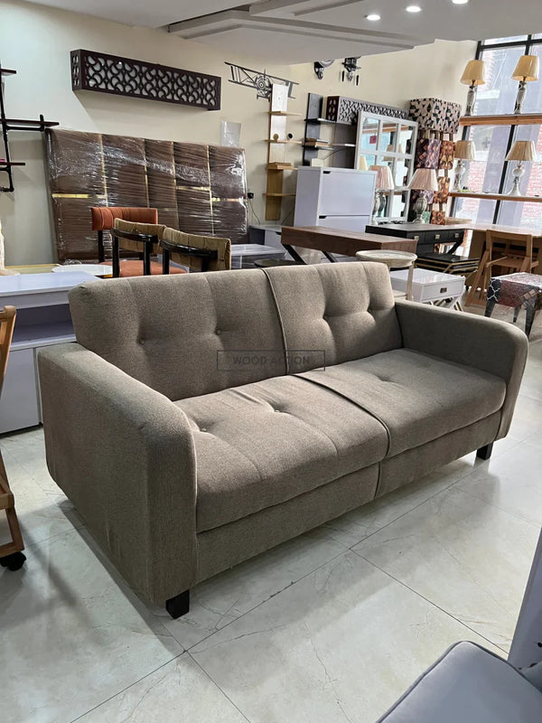 Blake sofa cum bed