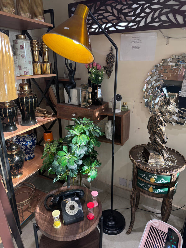 Imported standing Lamp 01