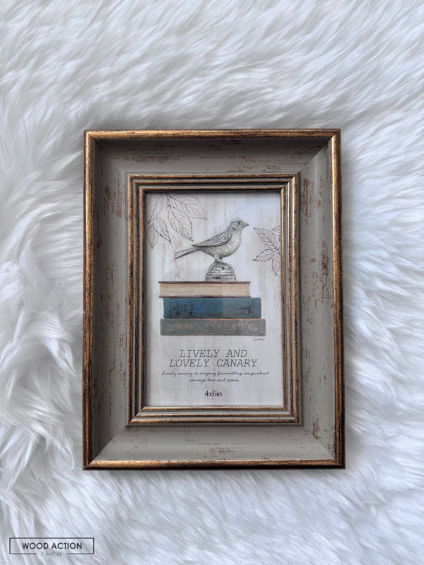 Vintage frame 13